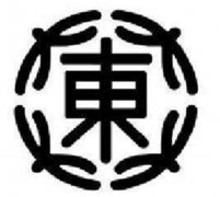 DAITO保險絲